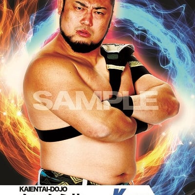 mevieプロレスカード「KAIENTAI−DOJO タンク永井」(動画固定版)
