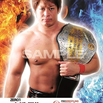 mevieプロレスカード「ZERO1 小幡 優作」(動画固定版)