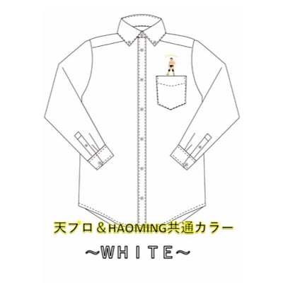 天龍×ハオミン刺繍ボタンダウンシャツ(ホワイト)Mサイズ