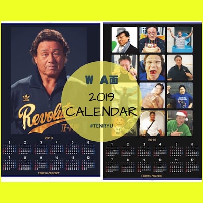 天龍源一郎2019年ポスターカレンダー