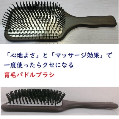 簡単!自宅でできる育毛ケア3点セット【育毛師が伝授する育毛効果アップ!30分レッスン付】
