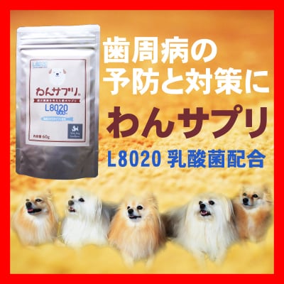お得な３ヶ月セット わんセット 中型犬３ヶ月分 わんサプリ 60g入り ６個 わんにゃんリキッド 40ml入り ３個 送料無料 菅cafe Olive ツクツク 通販 モバイル 最もお得な高ポイント還元通販サイト