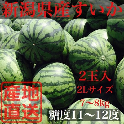 完売‼︎【限定予約販売】新潟県産すいか 2L(7〜8kg)2玉入