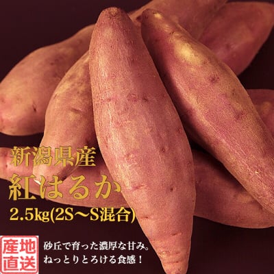 【秀品】新潟県産さつまいも2.5kg(2S~S混合)