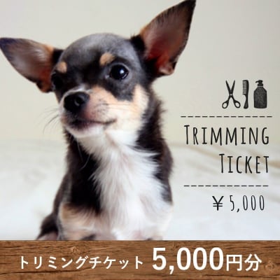 ツクツク!!ウェブチケット