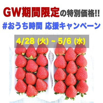 GW期間限定 特別価格 【#おうち時間応援キャンペーン】 いちご「紅ほっぺ」1段平置デラックスパック 9〜15粒入り1箱2パック