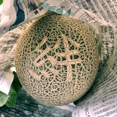 《6月10日頃より発送開始!10玉限定》【おや?メロンの表面に字が浮き出ている!】メッセージメロン「絆」 予約受付中!