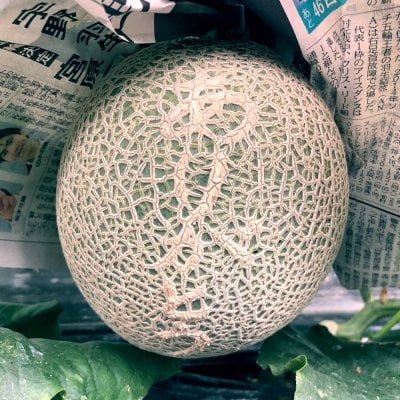 メッセージメロン「ありがとう」《7玉限定》【6/26頃収穫開始予定】予約受付中