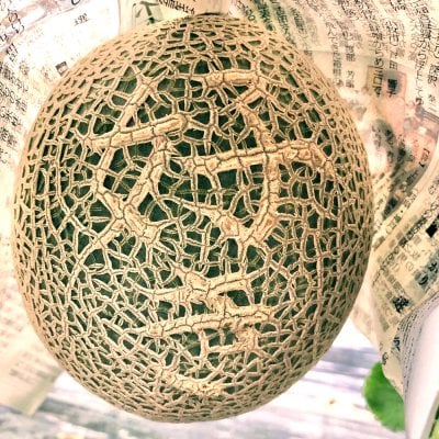 メッセージメロン「好き」《2玉限定》
