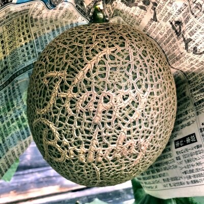 メッセージメロン「Happy Birthday」《1玉限定》