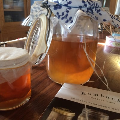 kombucha手作りキット
