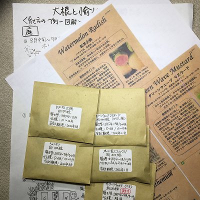 種子のセット・大根と愉快な仲間たち〜ニンジンの後作にも◎〜