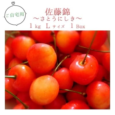【限定予約販売】ご自宅用◎黒沼果樹園のさくらんぼ『佐藤錦 Lサイズ1kg』山形県産◎6月下旬〜7月上旬出荷予定