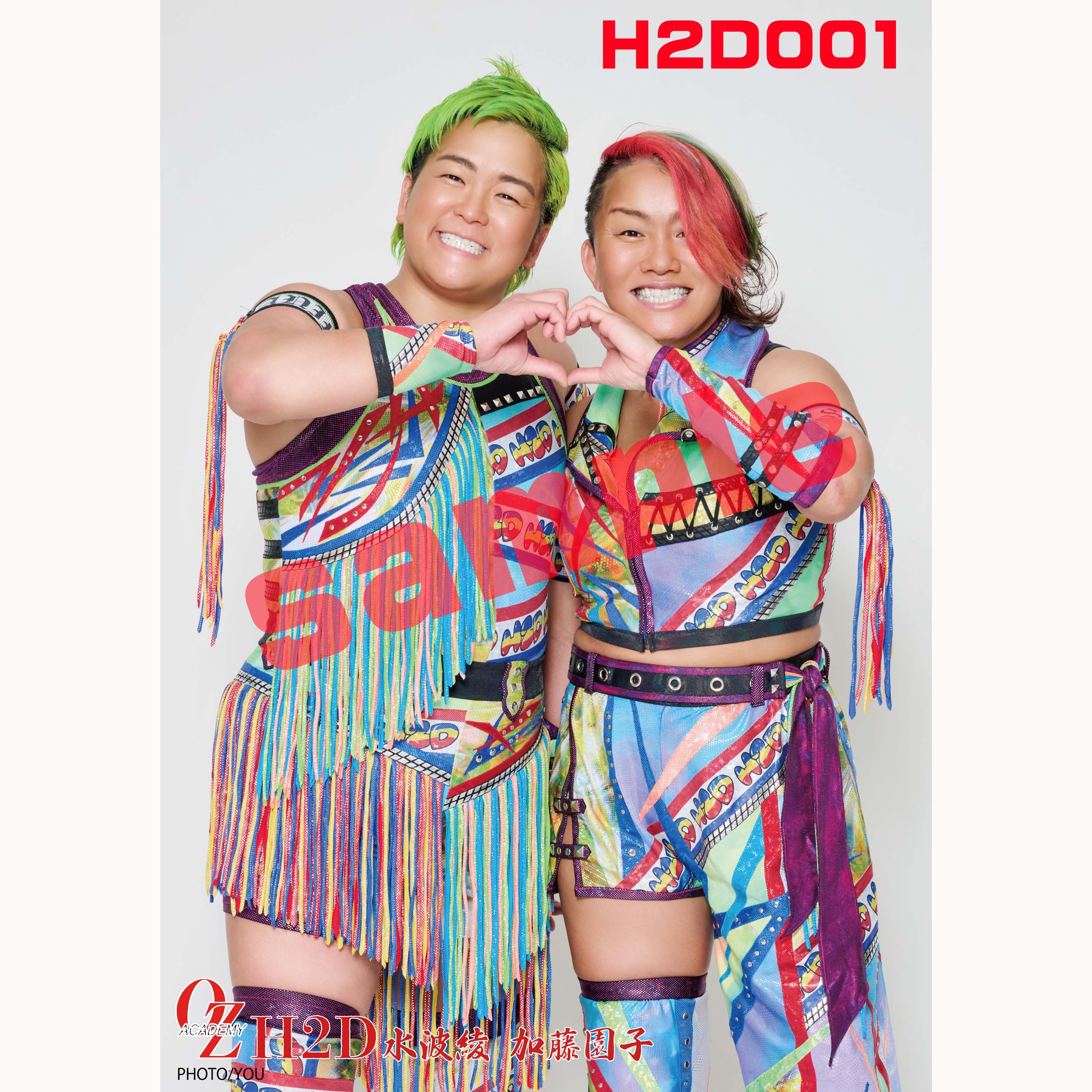 ﾎﾟｰﾄﾚｰﾄ][郵送用]H2Dﾎﾟｰﾄ《5種》