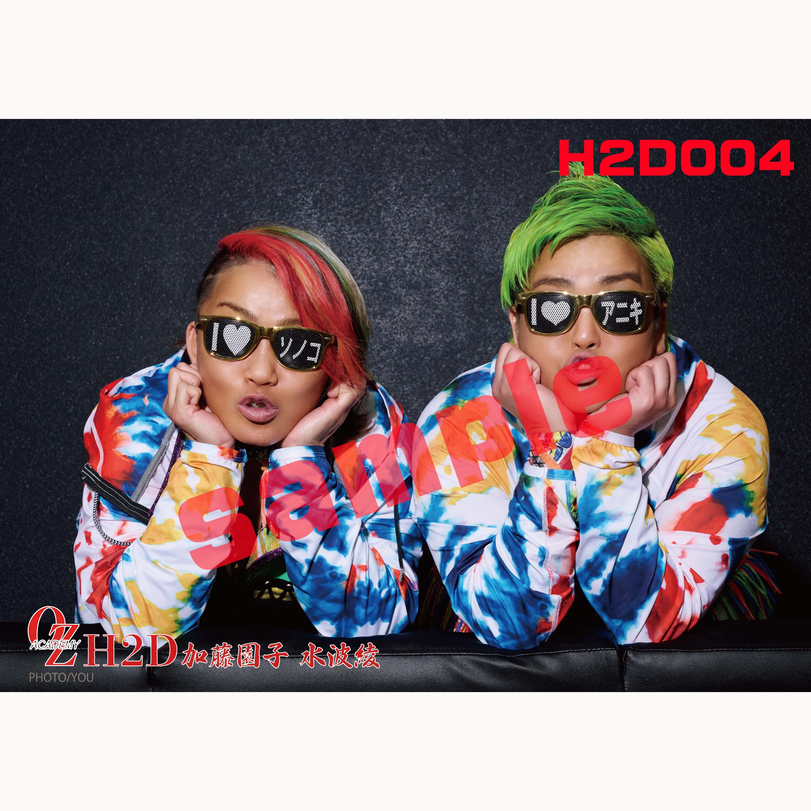 ﾎﾟｰﾄﾚｰﾄ][郵送用]H2Dﾎﾟｰﾄ《5種》