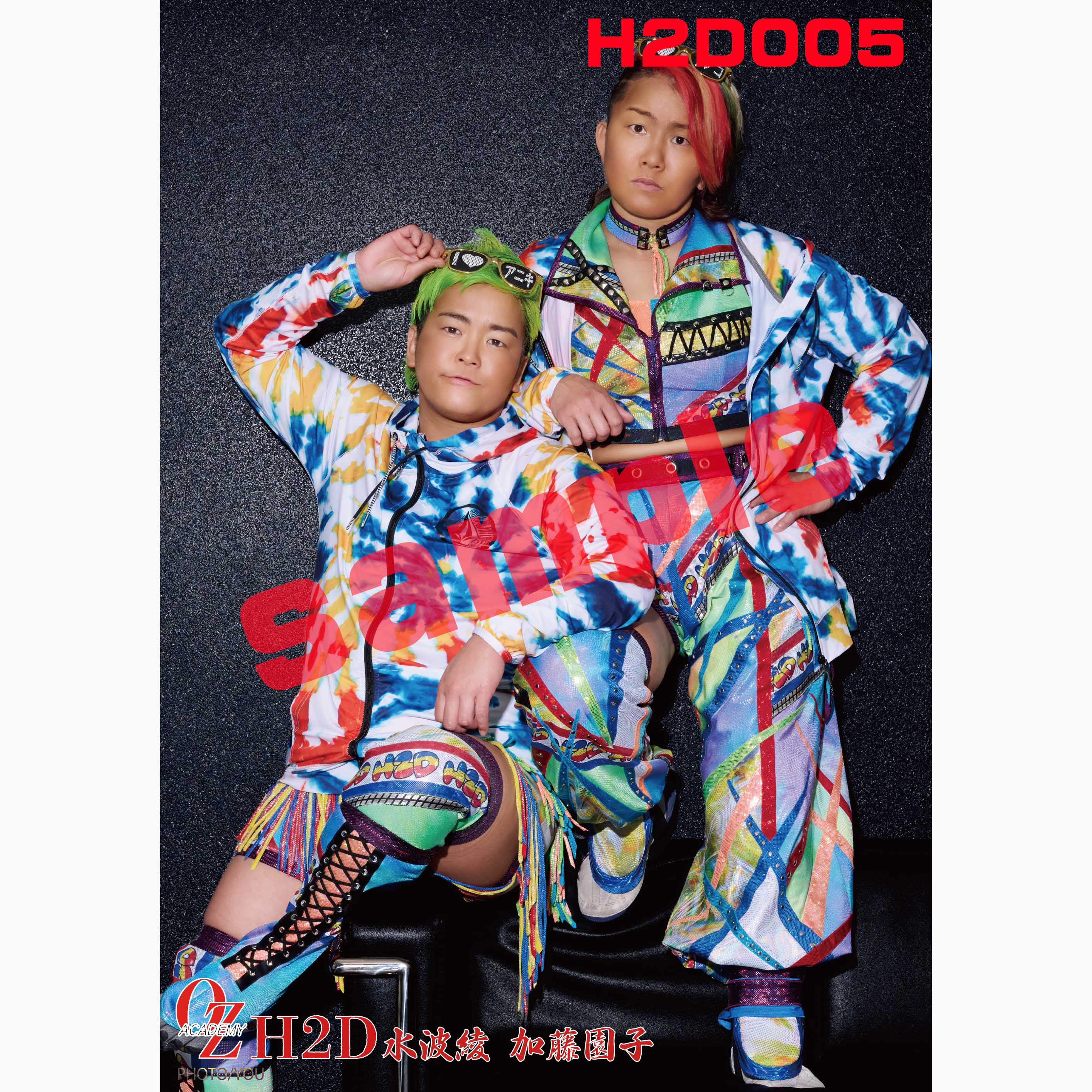 ﾎﾟｰﾄﾚｰﾄ][郵送用]H2Dﾎﾟｰﾄ《5種》