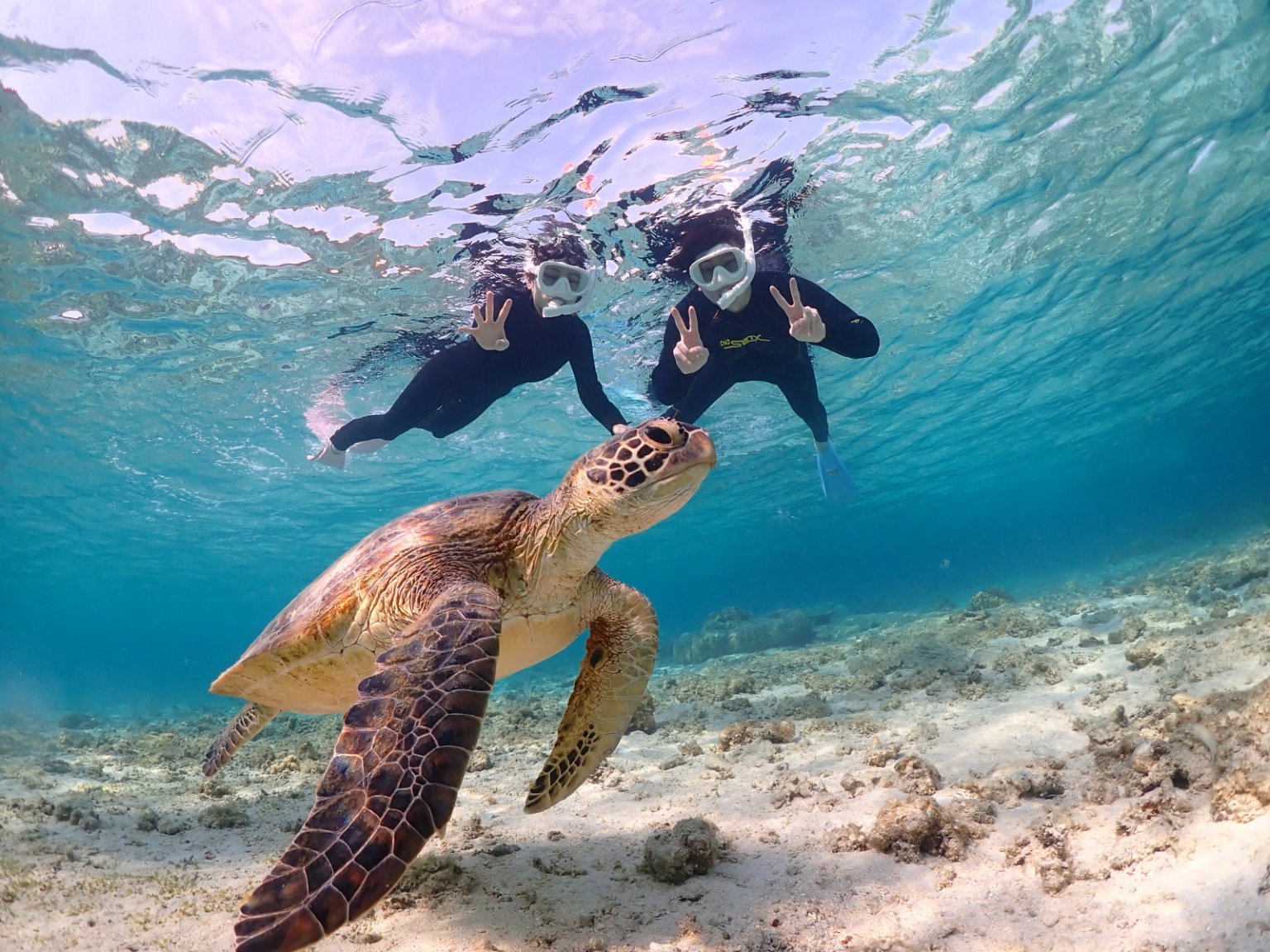 【沖縄・宮古島】1組貸切制、フォト婚、星空、ドローン撮影【見積もり専用チケット】【ポイント還元】【都度見積もり商品】