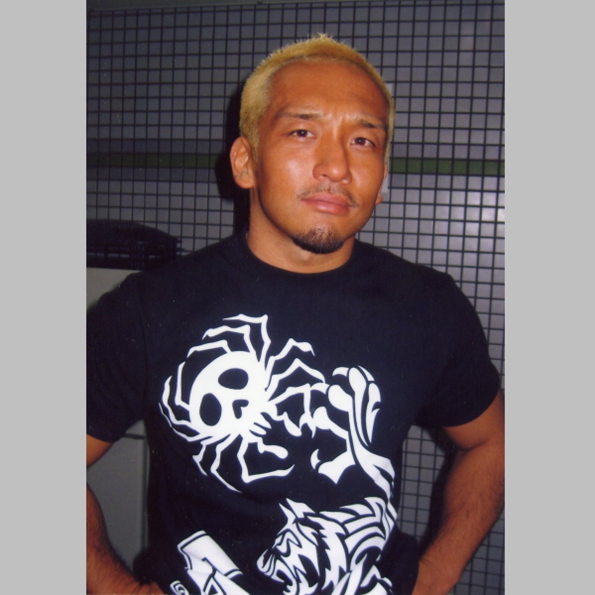 Ｇａｍｍａ Ｔシャツ「Ｔｉｇｅｒ＆Ｓｐｉｄｅｒ」