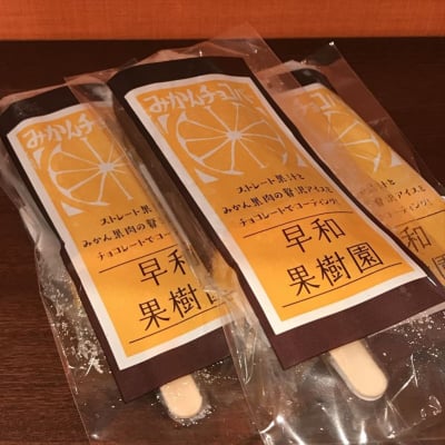【冷凍】無添加早和果樹園のみかんチョコバー 70g×5本入り
