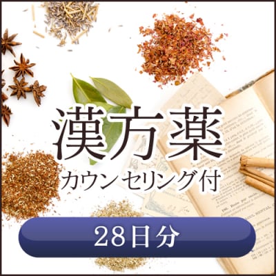 漢方薬 28日分
