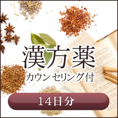 漢方薬 14日分