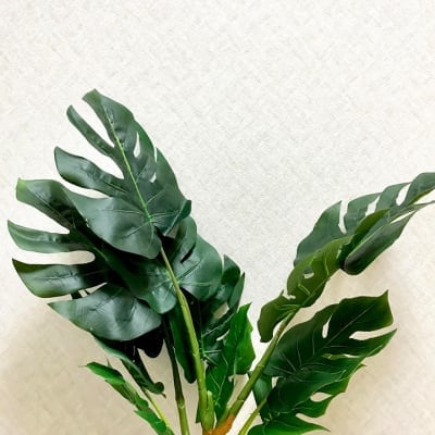 モンステラ造花限定1個