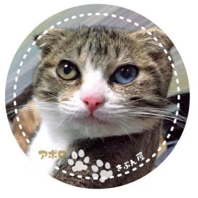 【送料無料、1月上旬から発送開始】アポロくん缶バッチ