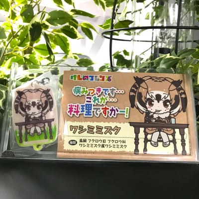 【H賞】Happyくじ けものフレンズ【プリントラバーチャーム&フレンズカード ワシミミズク】