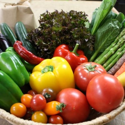 【お米と野菜セット】旬の産直お野菜アソート+農薬化学肥料不使用のお米1kg