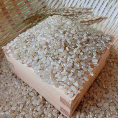 玄米精米可【農薬化学肥料不使用】加古さんの兵庫県産ヒノヒカリ 5kg