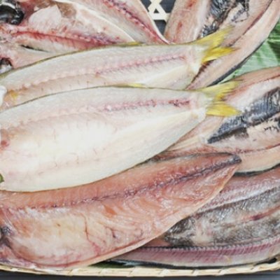【ご自宅で作りたての味がお楽しみ頂けます】 焼くだけ簡単しかも冷凍保存も出来る・・・ 魚屋経験25年の目利きが惚れた 一つ一つが手づくりの干物 旬の魚を厳選したおすすめ干物セット