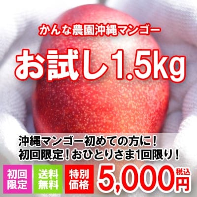 【初回100セット限定】【高ポイント還元】【送料無料】★令和祝★初めての方に超オススメ自宅用(お中元不可)完熟沖縄マンゴーお試しセット6月下旬から順次発送| 沖縄マンゴー約1.5kg(3〜4玉)|糸満産 ※おひとり1セット
