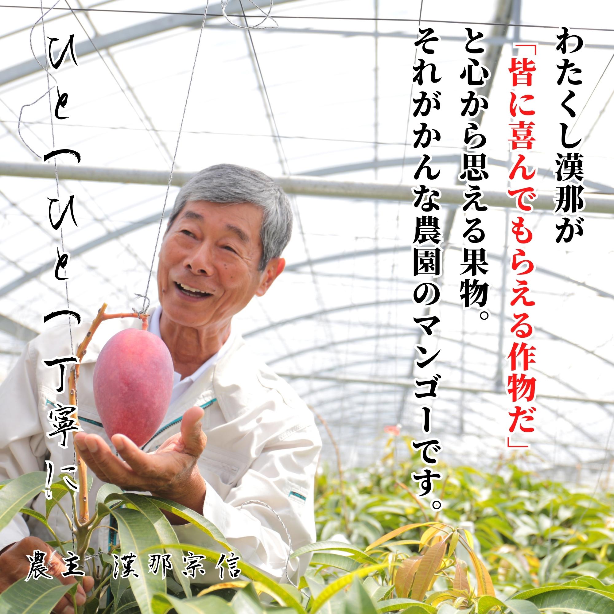 楽天市場】宮古島産 完熟マンゴー 2kg 【秀品】（アップル