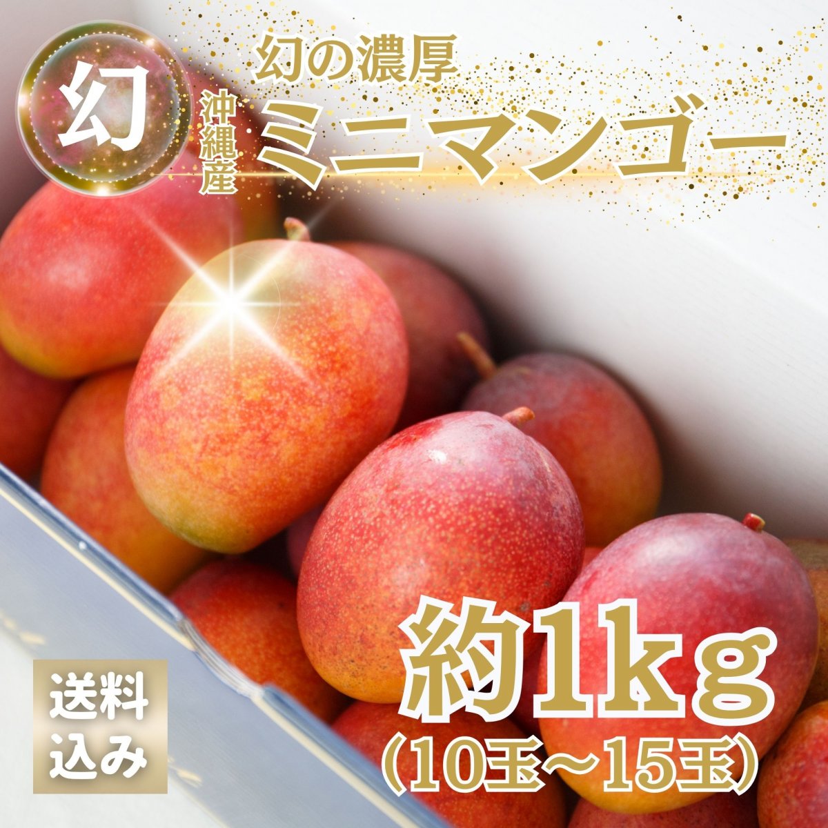 6/16 10時〜先行予約開始【数量限定】幻の濃厚ミニマンゴー 約1kg(10〜1...