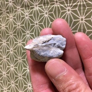 霊峰剣山の運命を切り開く力を授けてくれるパワーストーン・石のさきがけ形/シリウスブルー観光振興協会