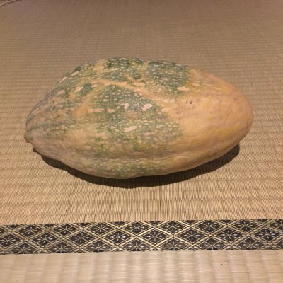 八媛かぼちゃ/自然栽培 /徳島県木頭から野草とオーガニック野菜のお取り寄せ「阿波・Blessing of kito」/自社栽培のオーガニック野菜やハーブと、自然の中から採集した薬草・野草を販売しています。