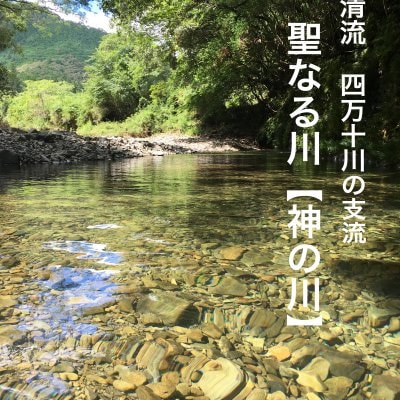 新米ヒノヒカリ玄米10キロ/自然栽培 /無農薬・無肥料栽培/シリウスの女神セレクトシリウス市場より聖地の恵をお届けします