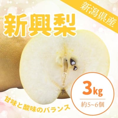 【3kg】新興梨/約5〜6個入