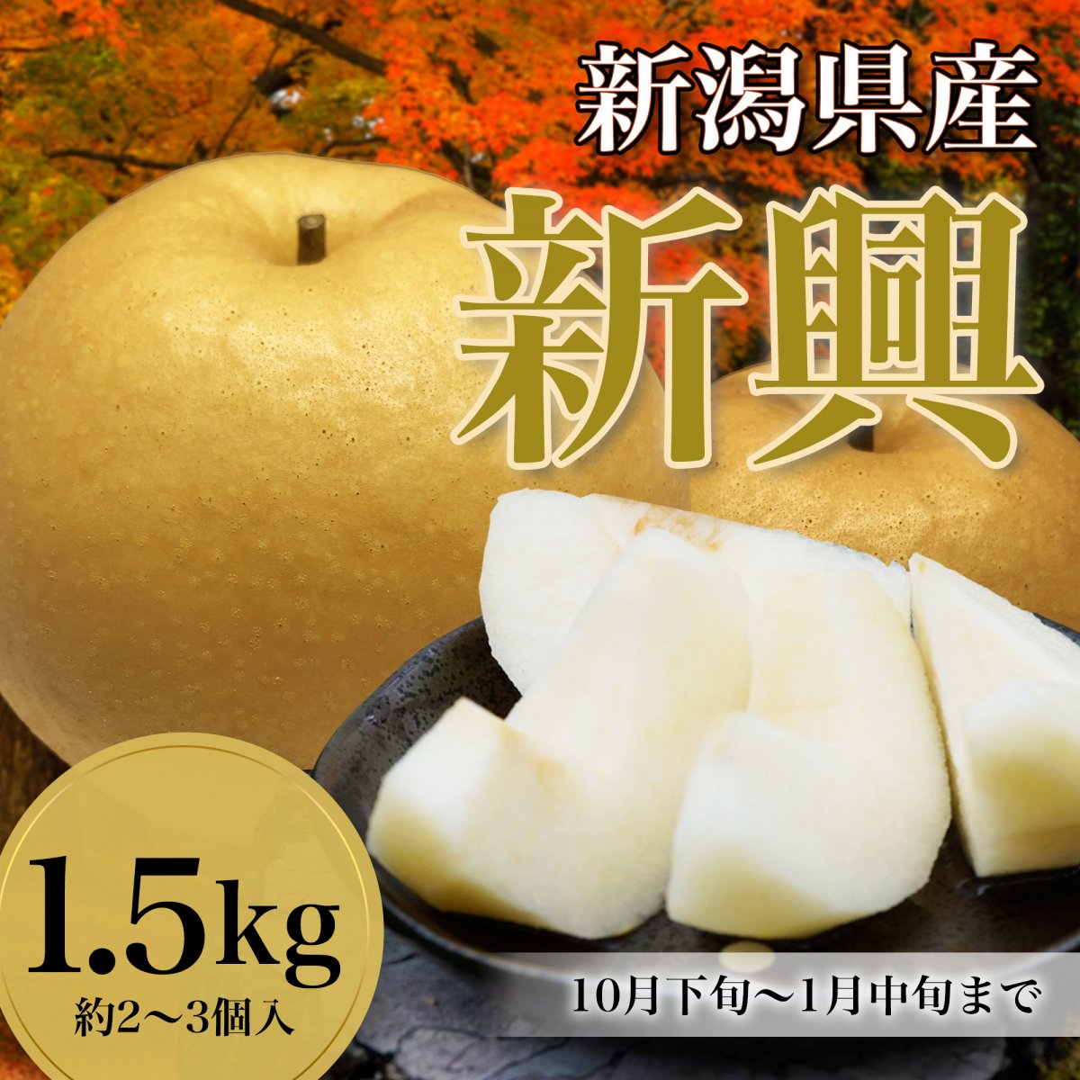 【1.5kg】新興梨/約2~3個入