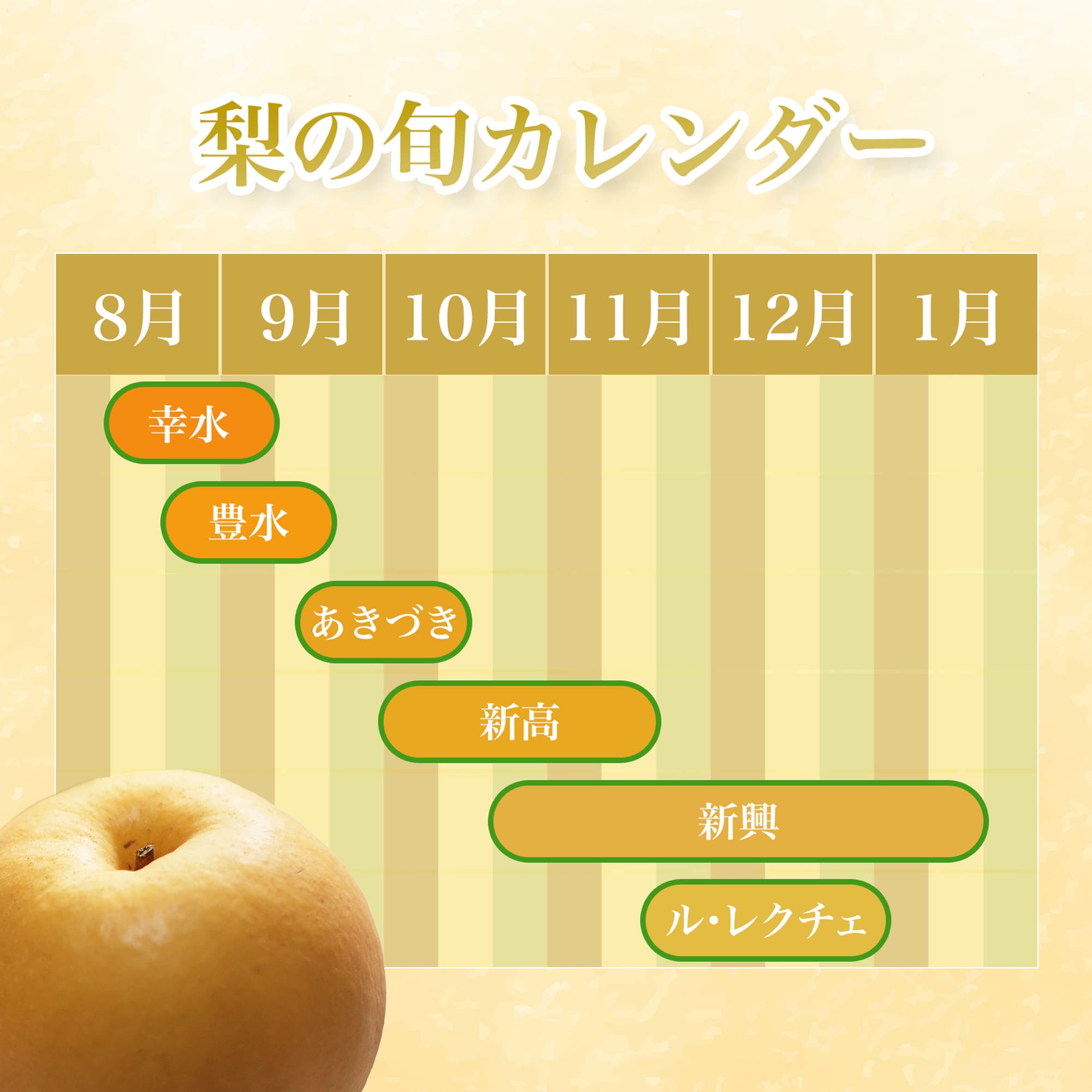 1kg.8/28まで】幸水梨/約2~4個入