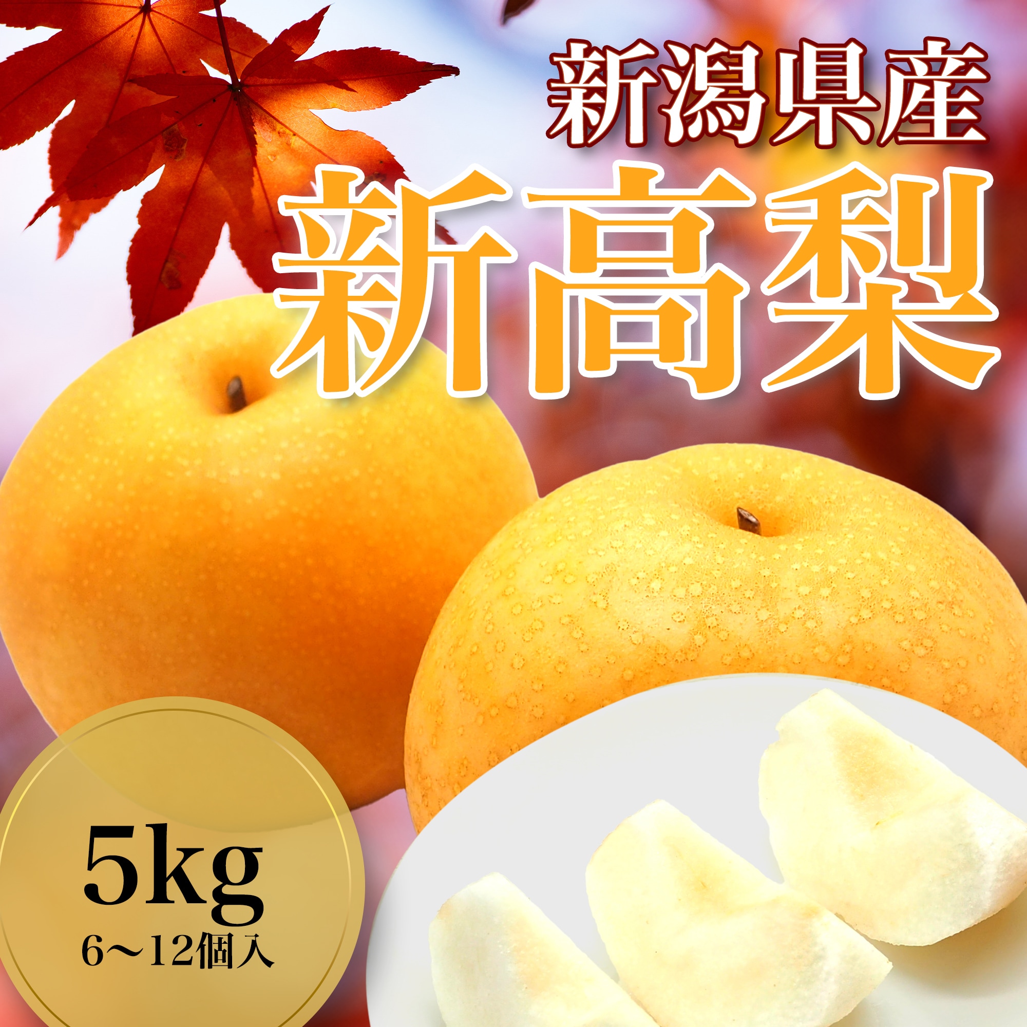 5kg(6~12個入)】梨の王様•新潟県産 新高梨|上品な甘さとシャキッと食感