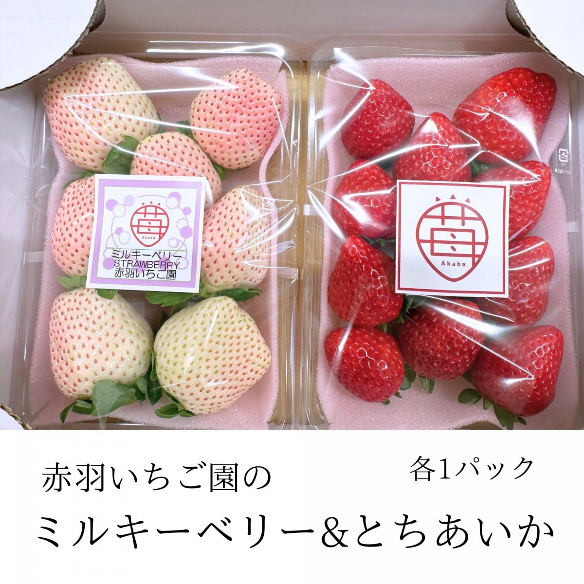 赤羽いちご園の紅白いちご　ミルキーベリー＆とちあいか各1パック入り　1箱│栃木産