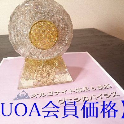 【11/21・22】UOA応用編6オンライン講座 ヴェシカパイシス(教材)※UOA会員価格