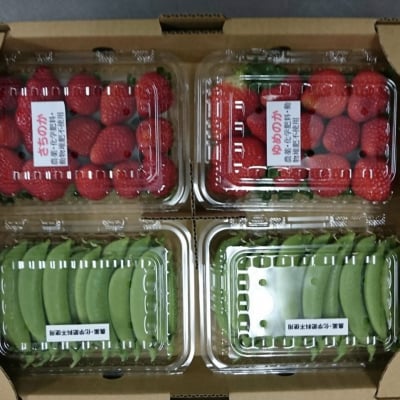 自然農法 いちご2パックとスナップエンドウ2パック ずつ