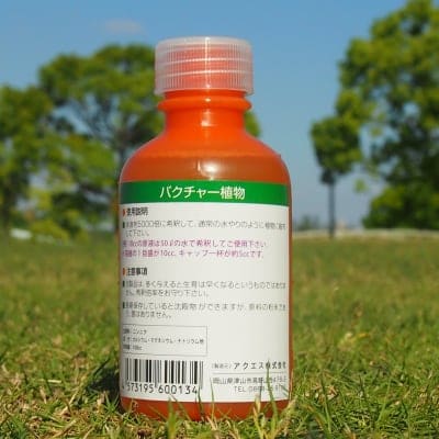 バクチャー植物 100cc 送料無料!!