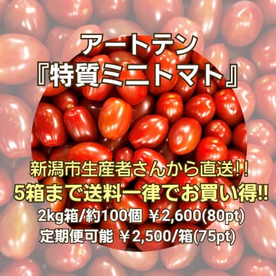 アートテン特質ミニトマト2kg箱 (5箱まで送料一律)