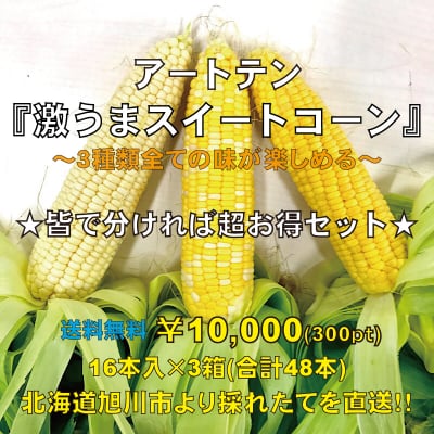 北海道旭川より採れたてを直送!!【超お得セット】アートテン激うまスイートコーン16本入×3箱 (合計48本)送料無料!!