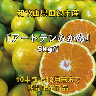 アートテンみかん5kg箱
