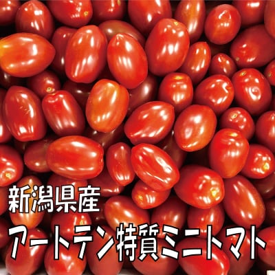 極うま!!アートテン特質ミニトマト2kg箱 (5箱まで送料一律)