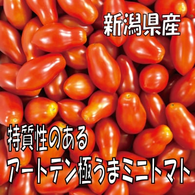【今食べる事に意味がある】特質性のあるアートテン極うまミニトマト2kg箱 (5箱まで送料一律)